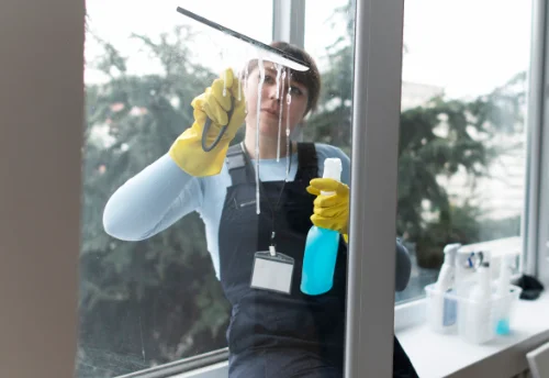 Nettoyage de vitres intérieures et extérieures à Geay